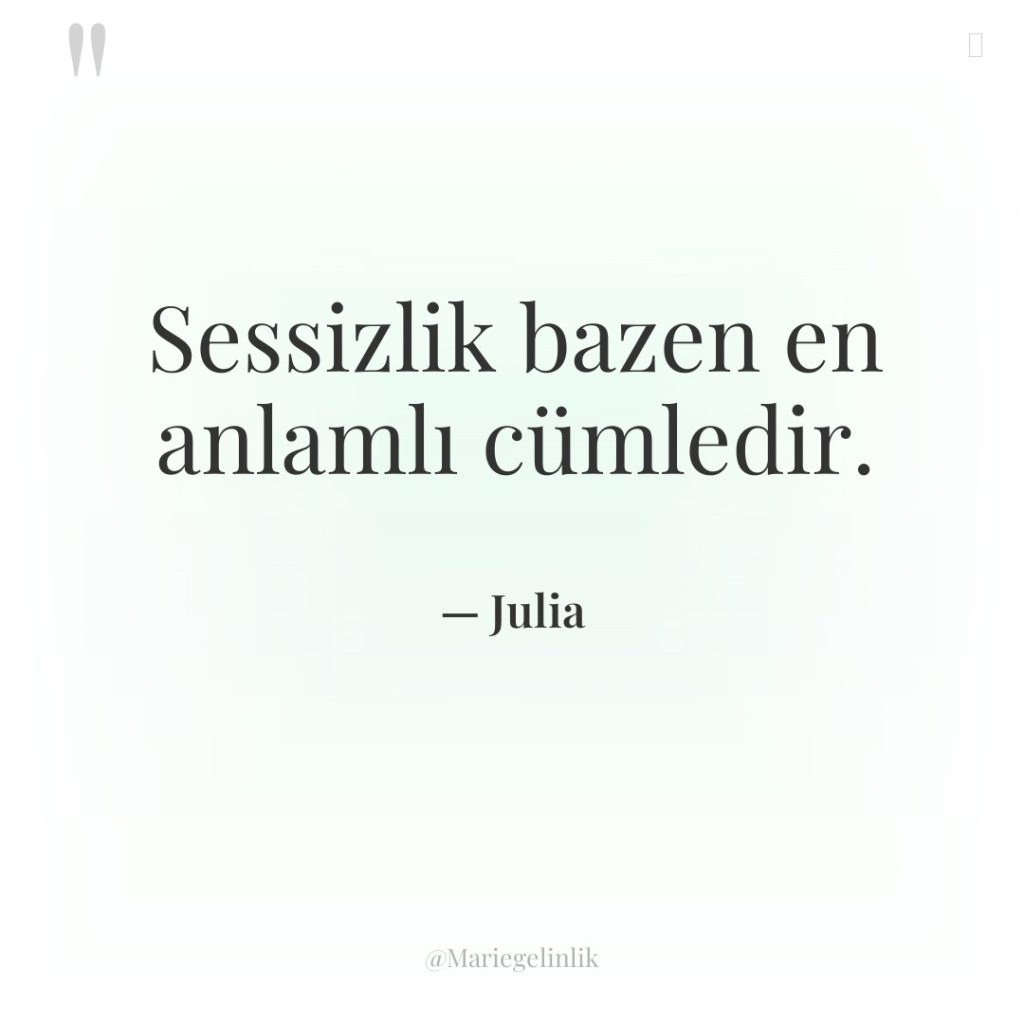 Sessizlik bazen en anlamlı cümledir.