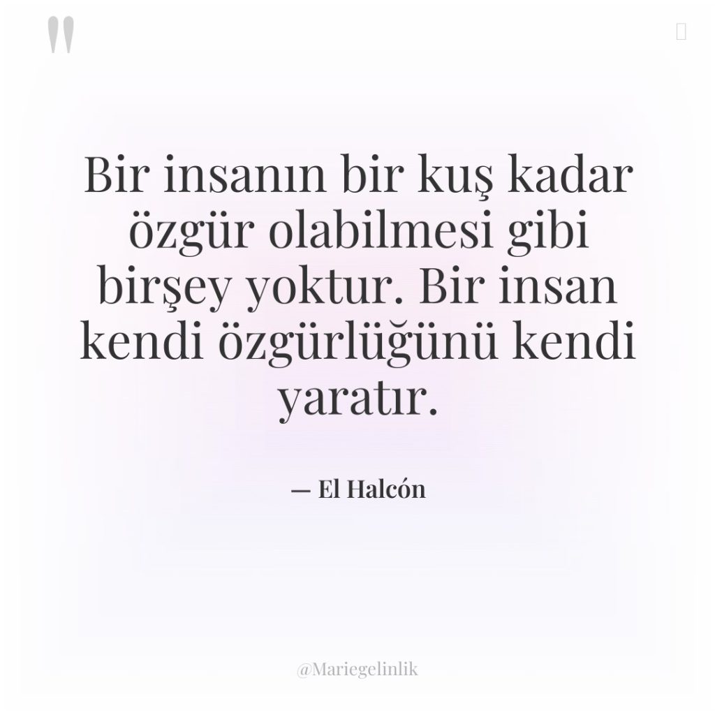 Bir insanın bir kuş kadar özgür olabilmesi gibi birşey yoktur….