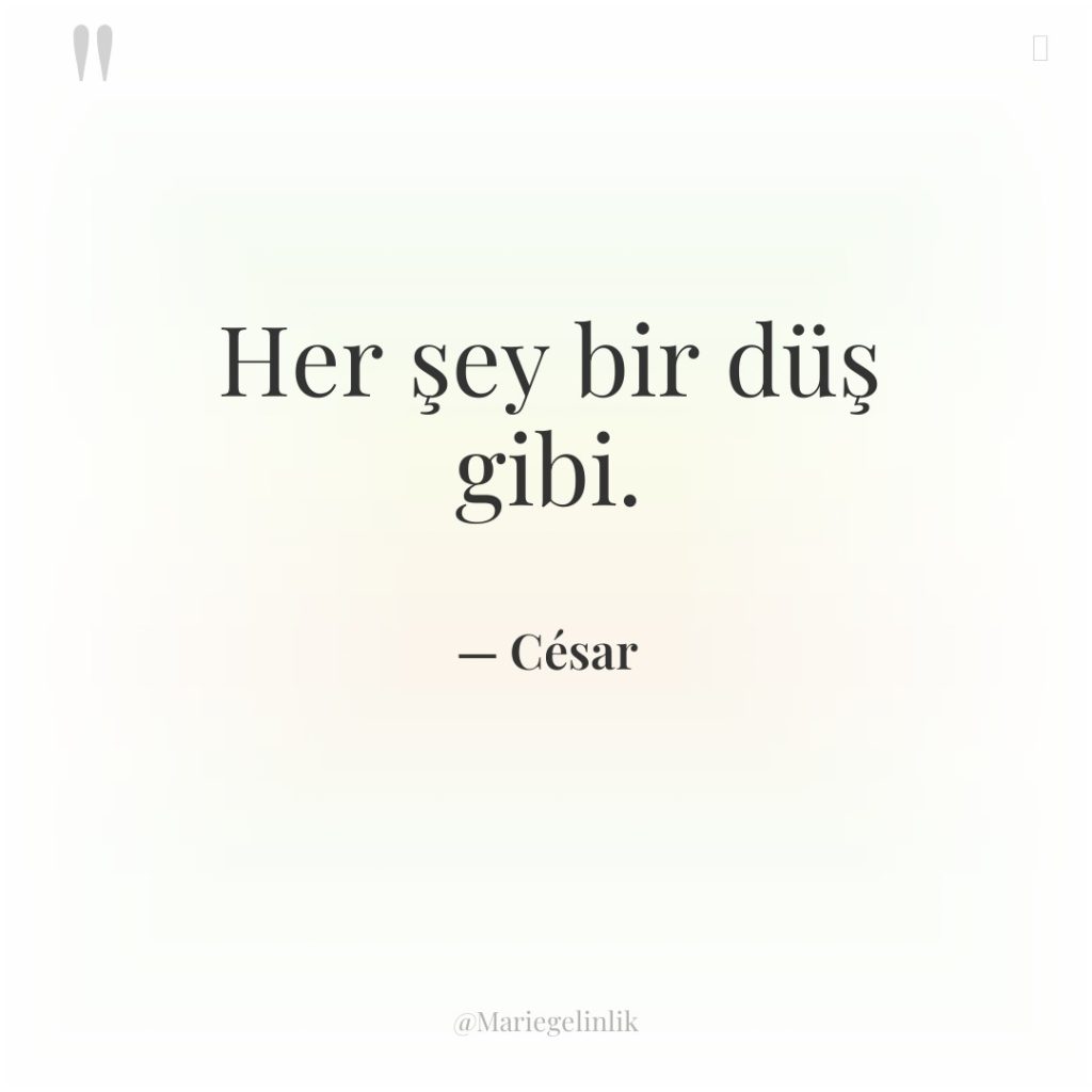 Her şey bir düş gibi.