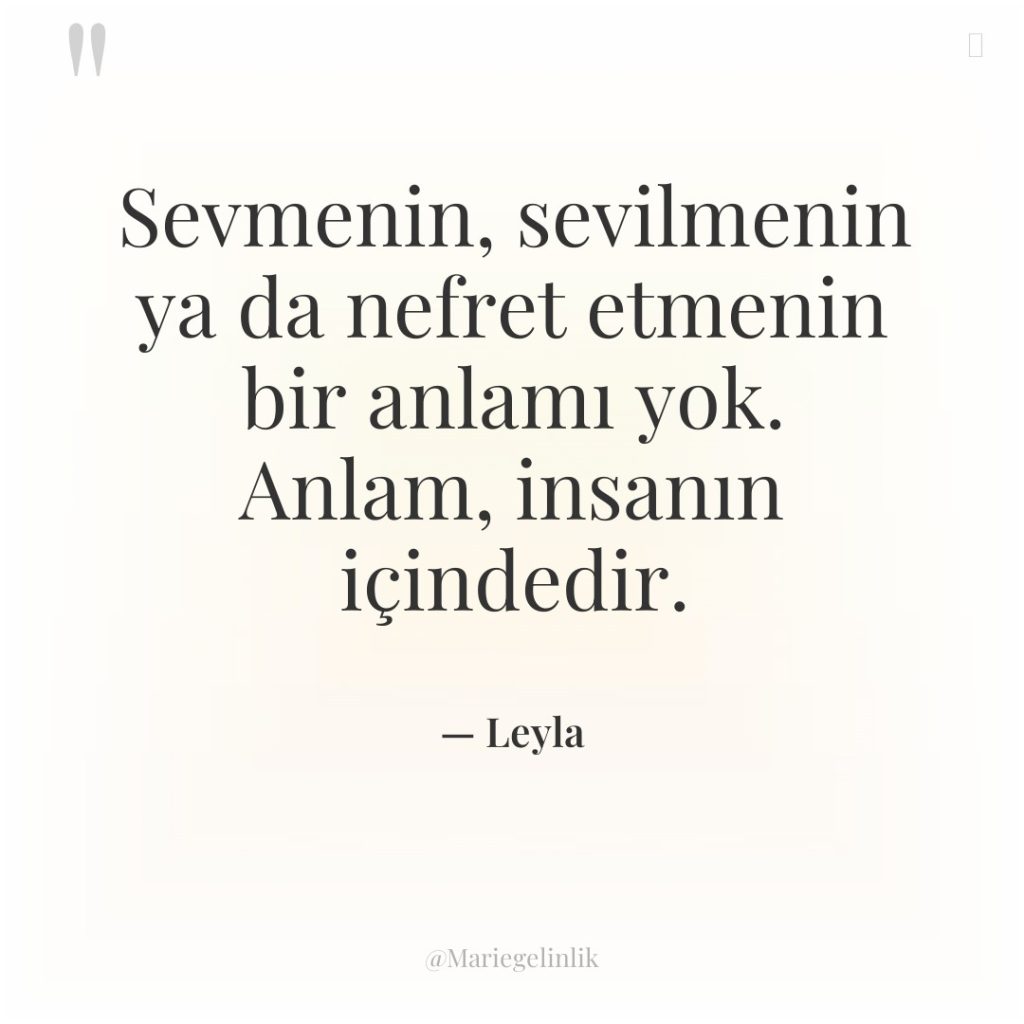Sevmenin, sevilmenin ya da nefret etmenin bir anlamı yok. Anlam,…