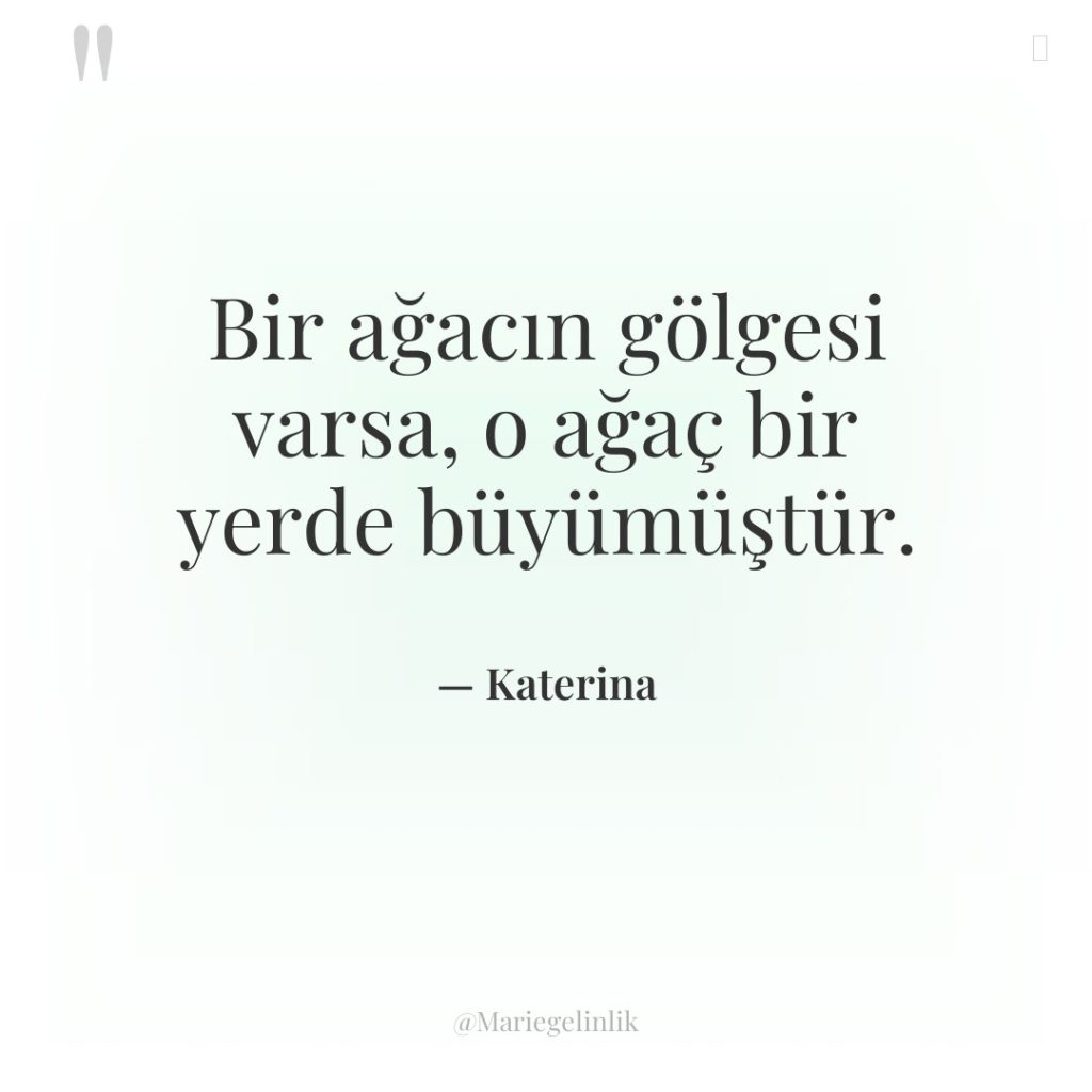 Bir ağacın gölgesi varsa, o ağaç bir yerde büyümüştür.