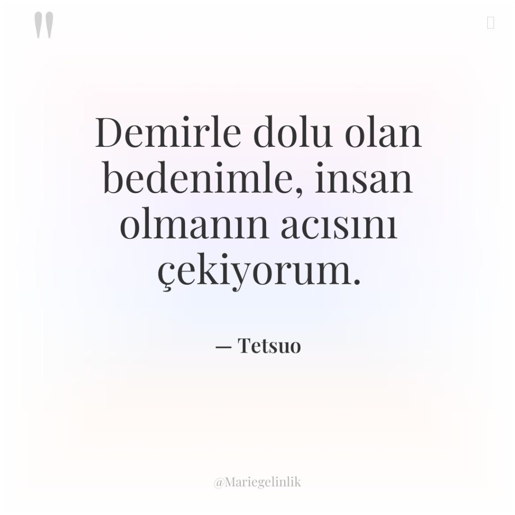 Demirle dolu olan bedenimle, insan olmanın acısını çekiyorum.