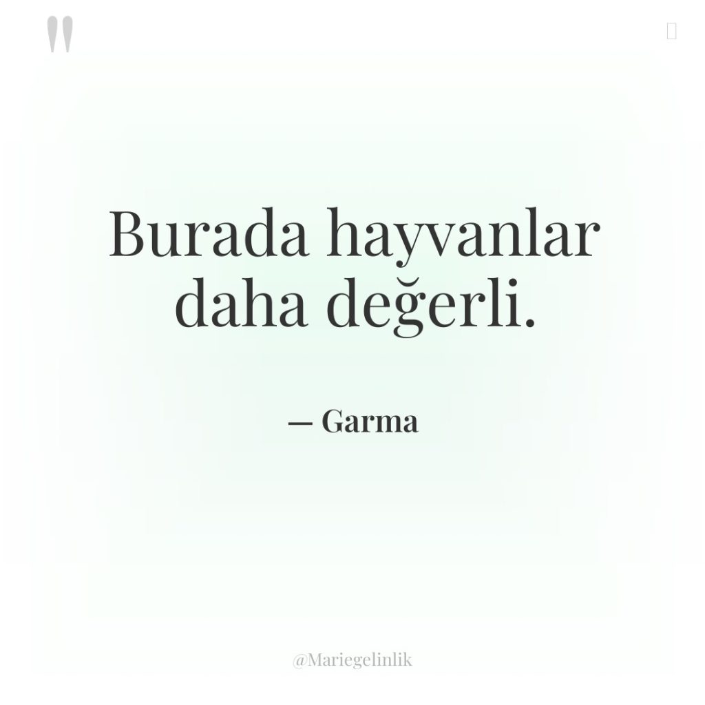 Burada hayvanlar daha değerli.