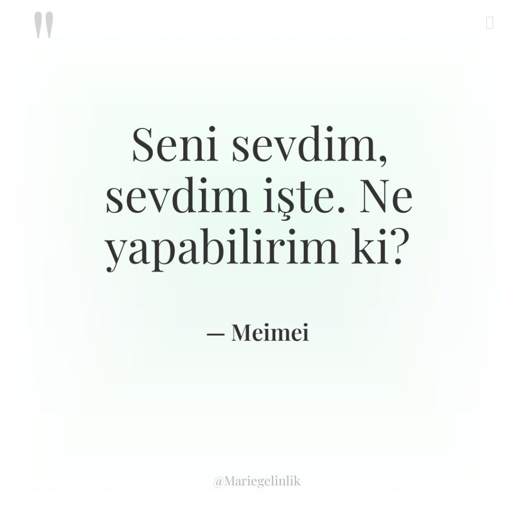 Seni sevdim, sevdim işte. Ne yapabilirim ki?