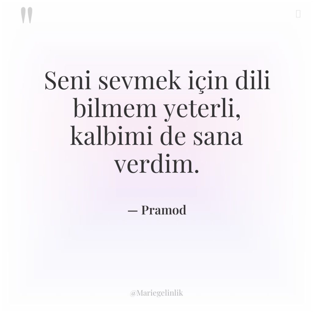 Seni sevmek için dili bilmem yeterli, kalbimi de sana verdim.