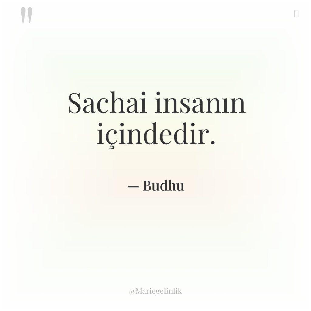 Sachai insanın içindedir.