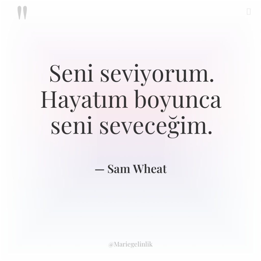 Seni seviyorum. Hayatım boyunca seni seveceğim.