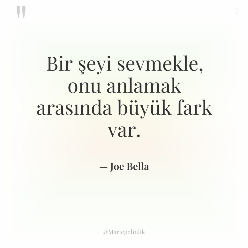 Bir şeyi sevmekle, onu anlamak arasında büyük fark var.