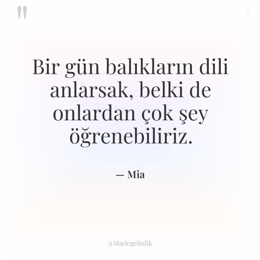 Bir gün balıkların dili anlarsak, belki de onlardan çok şey…