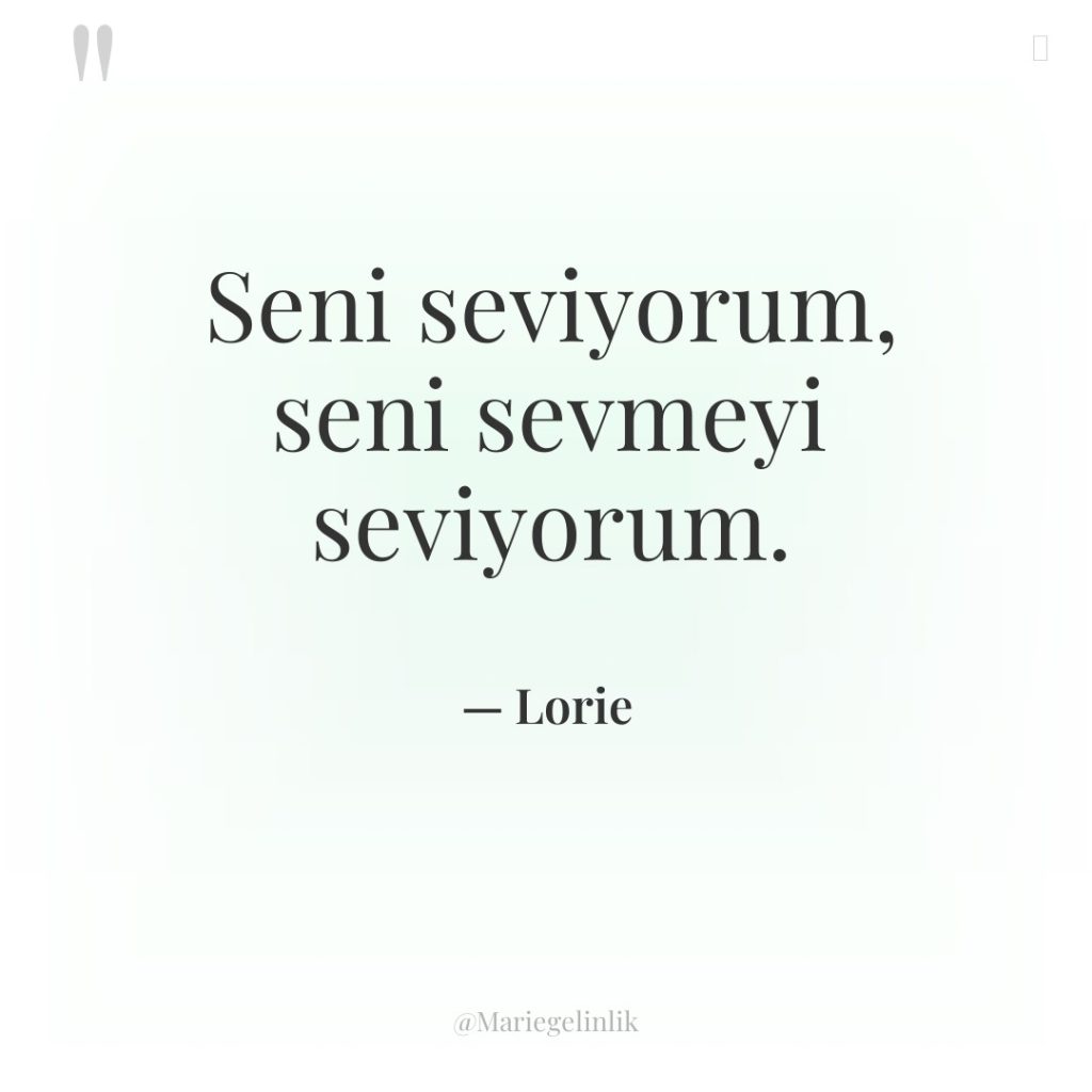Seni seviyorum, seni sevmeyi seviyorum.