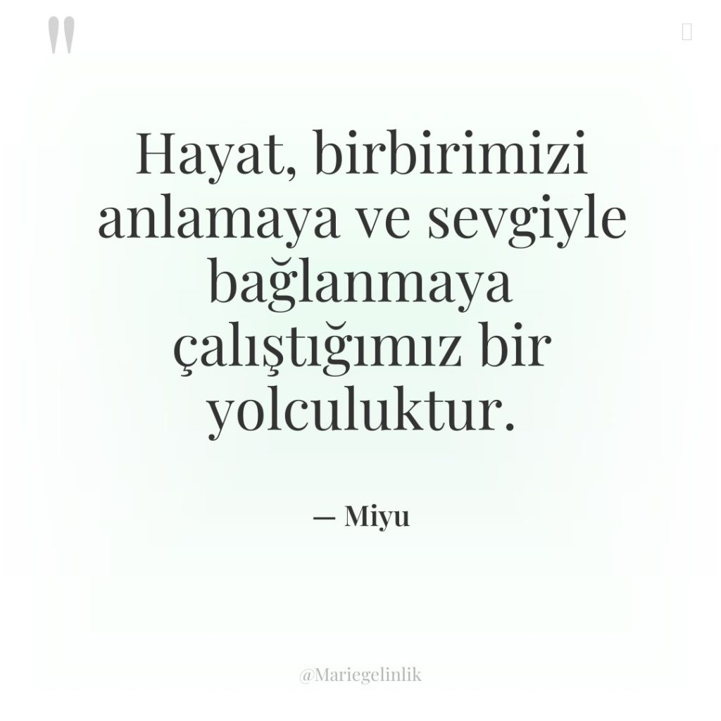 Hayat, birbirimizi anlamaya ve sevgiyle bağlanmaya çalıştığımız bir yolculuktur.