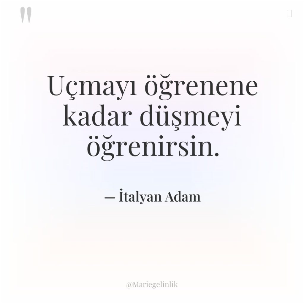 Uçmayı öğrenene kadar düşmeyi öğrenirsin.