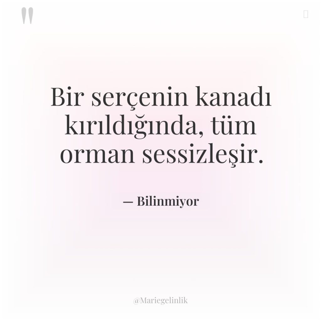 Bir serçenin kanadı kırıldığında, tüm orman sessizleşir.