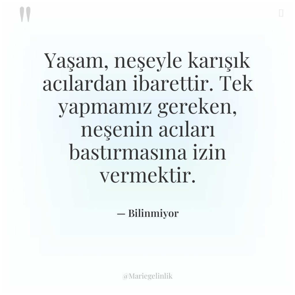 Yaşam, neşeyle karışık acılardan ibarettir. Tek yapmamız gereken, neşenin acıları…