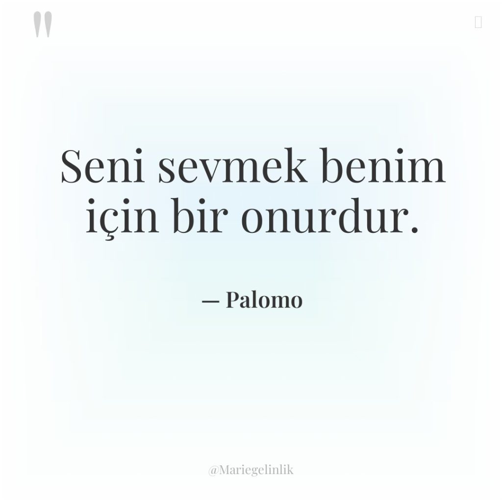 Seni sevmek benim için bir onurdur.