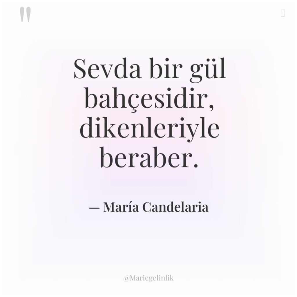 Sevda bir gül bahçesidir, dikenleriyle beraber.