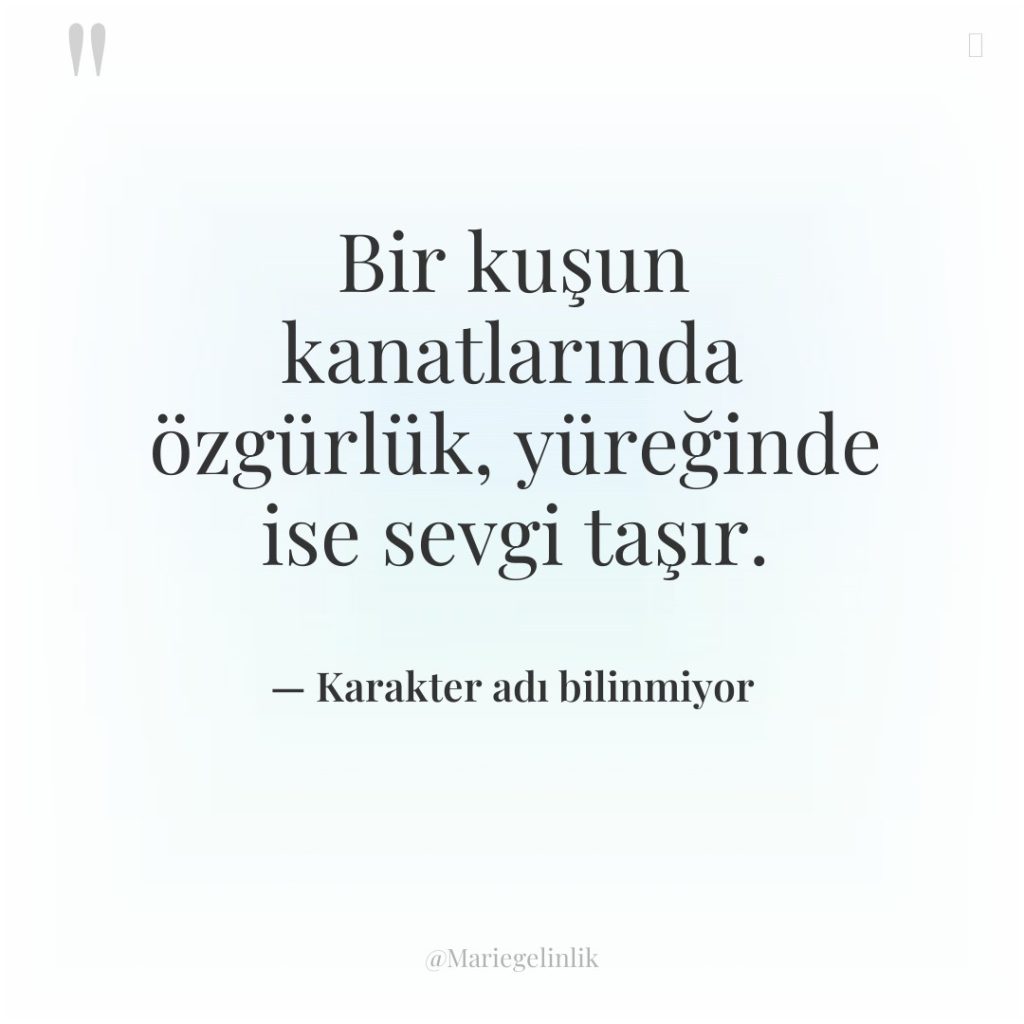 Bir kuşun kanatlarında özgürlük, yüreğinde ise sevgi taşır.