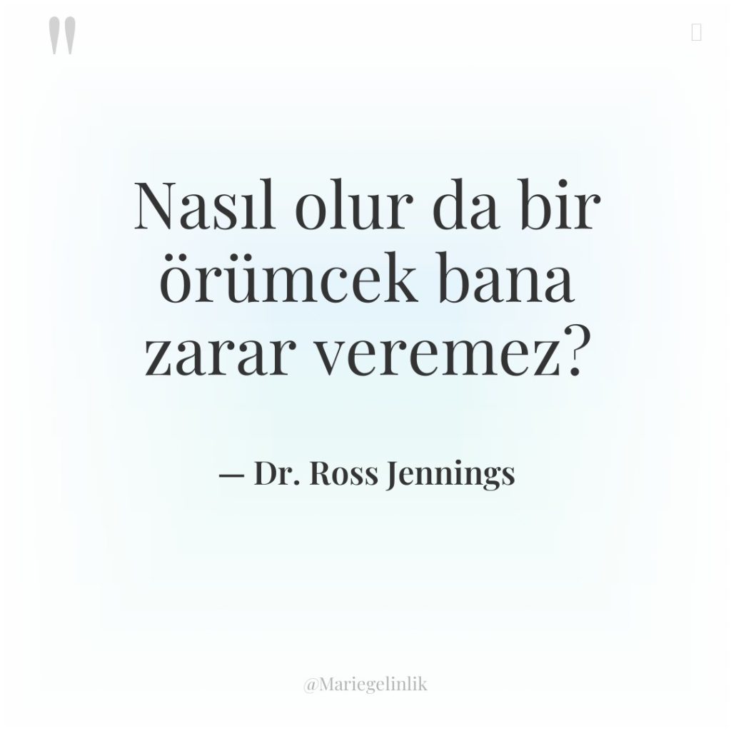 Nasıl olur da bir örümcek bana zarar veremez?