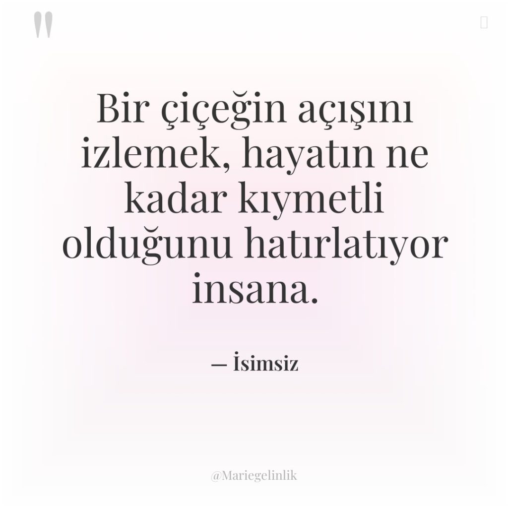 Bir çiçeğin açışını izlemek, hayatın ne kadar kıymetli olduğunu hatırlatıyor…