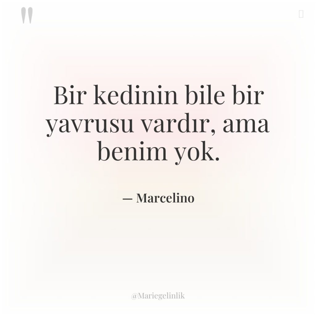 Bir kedinin bile bir yavrusu vardır, ama benim yok.