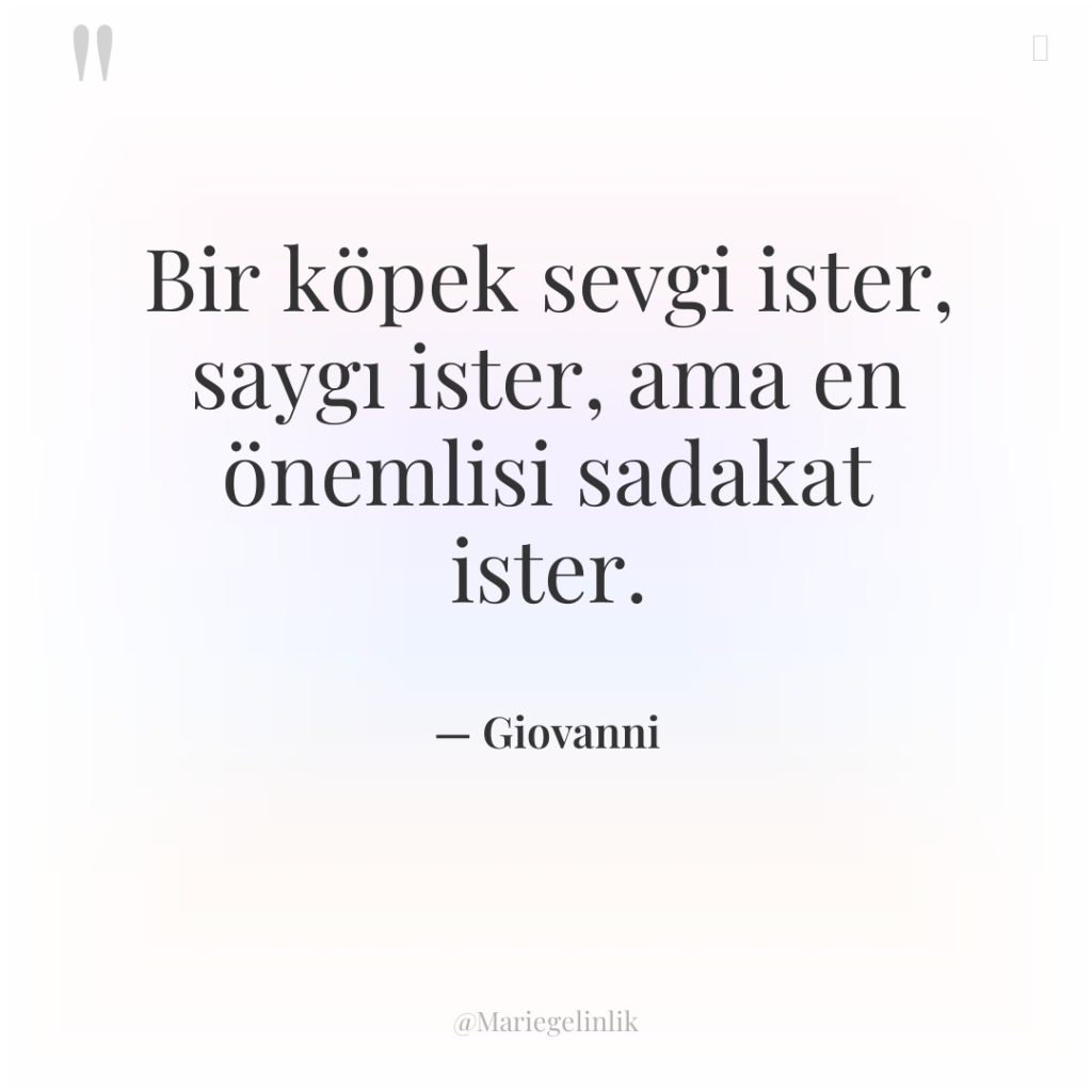 Bir köpek sevgi ister, saygı ister, ama en önemlisi sadakat…