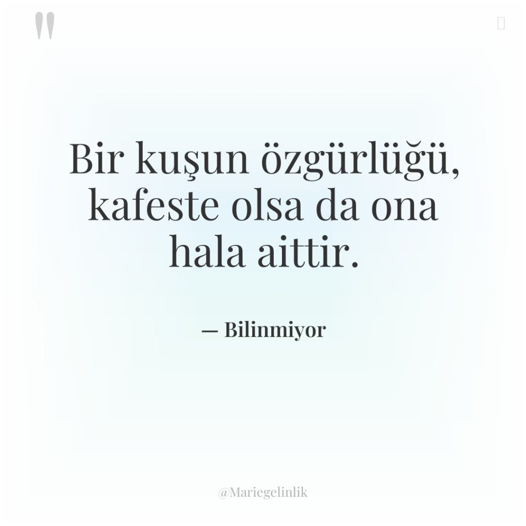 Bir kuşun özgürlüğü, kafeste olsa da ona hala aittir.