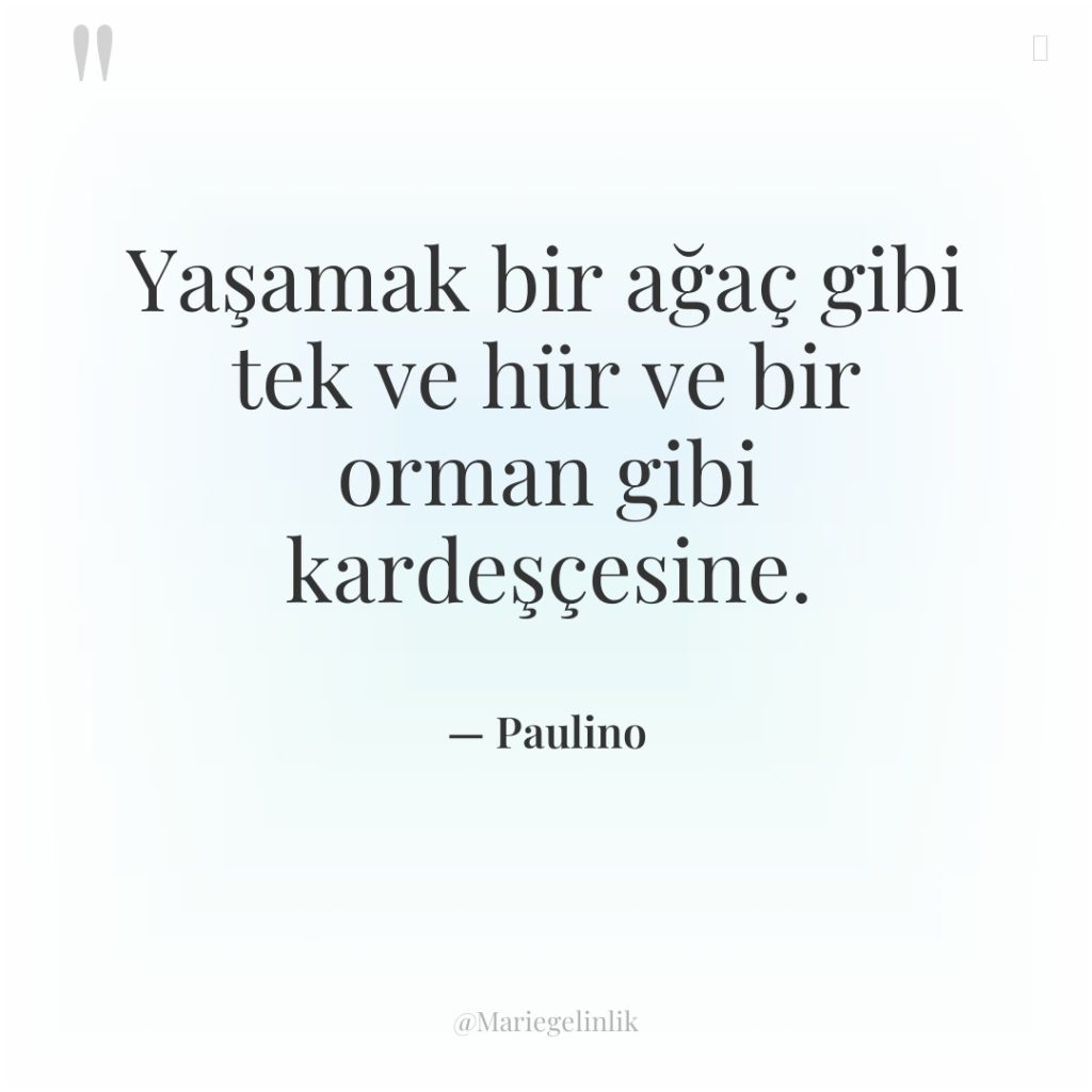 Yaşamak bir ağaç gibi tek ve hür ve bir orman…