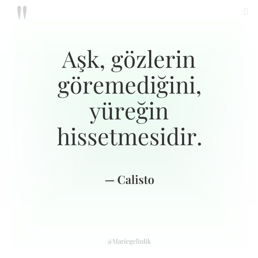 Aşk, gözlerin göremediğini, yüreğin hissetmesidir.