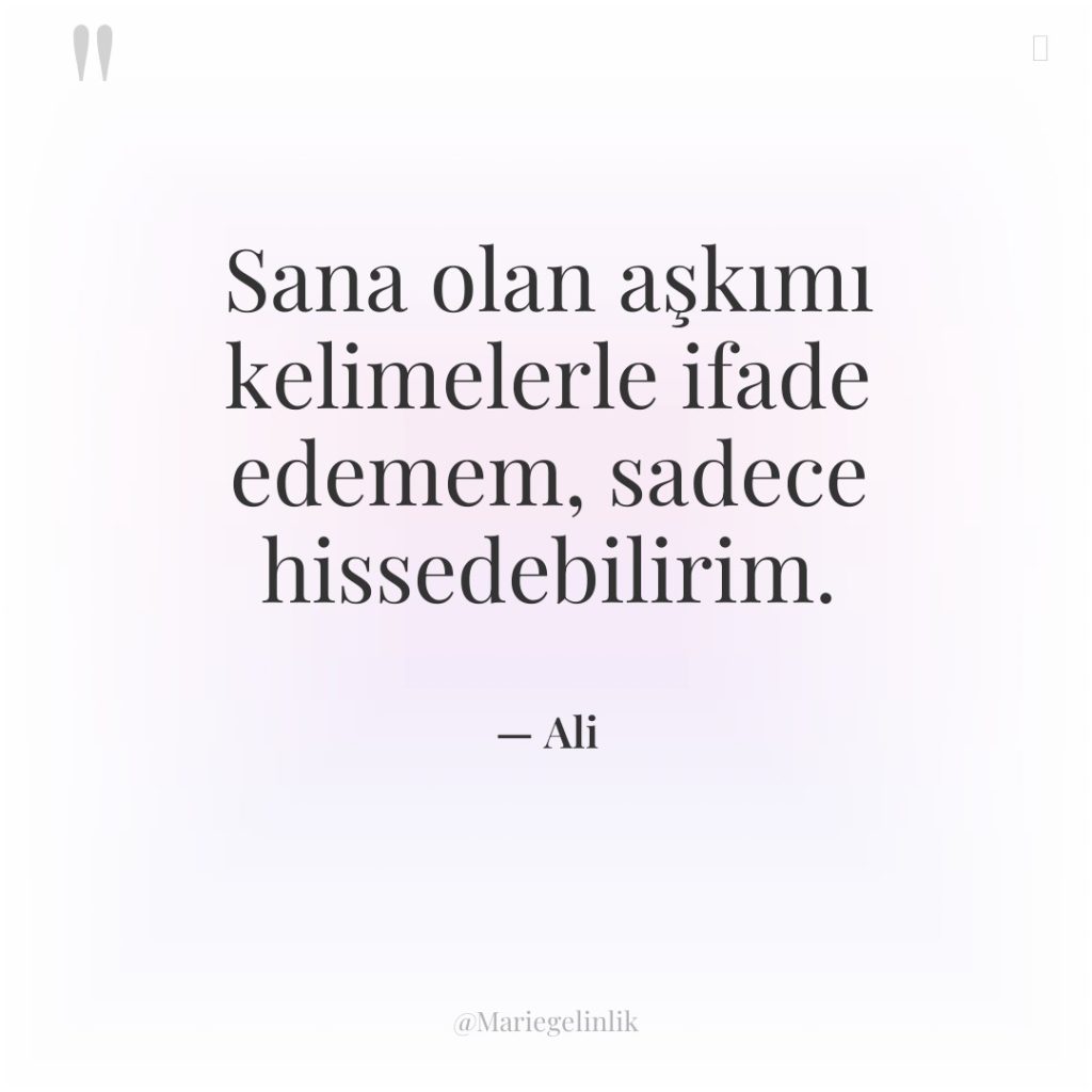 Sana olan aşkımı kelimelerle ifade edemem, sadece hissedebilirim.