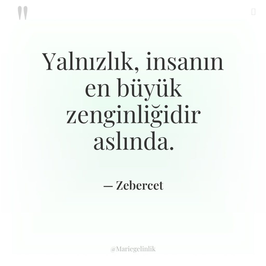 Yalnızlık, insanın en büyük zenginliğidir aslında.