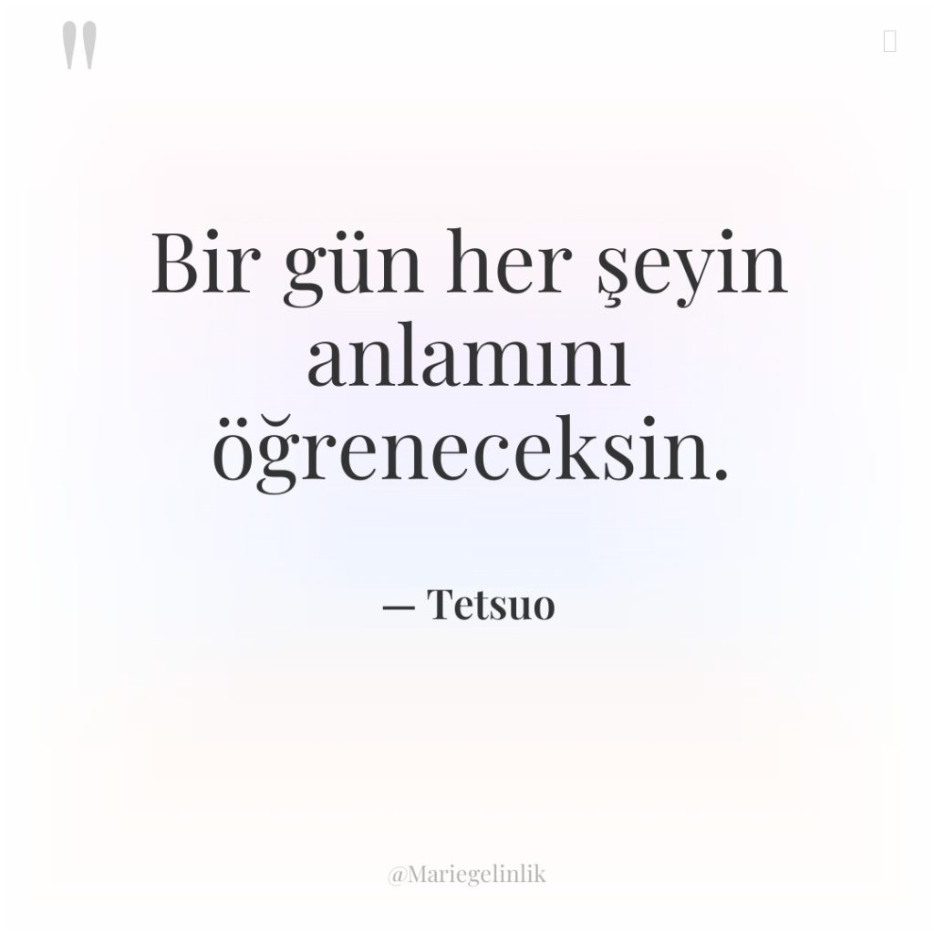 Bir gün her şeyin anlamını öğreneceksin.