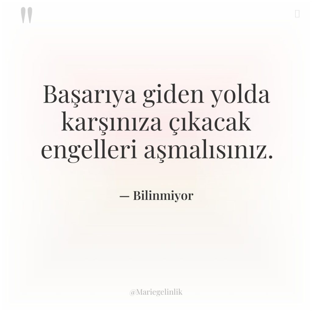 Başarıya giden yolda karşınıza çıkacak engelleri aşmalısınız.