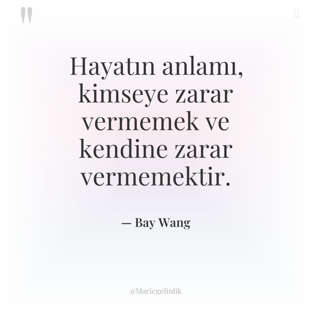 Hayatın anlamı, kimseye zarar vermemek ve kendine zarar vermemektir.