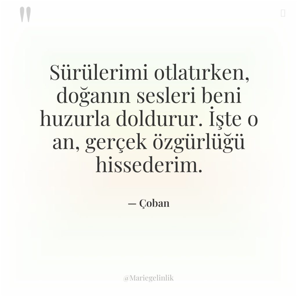Sürülerimi otlatırken, doğanın sesleri beni huzurla doldurur. İşte o an,…