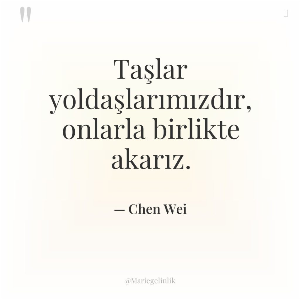 Taşlar yoldaşlarımızdır, onlarla birlikte akarız.