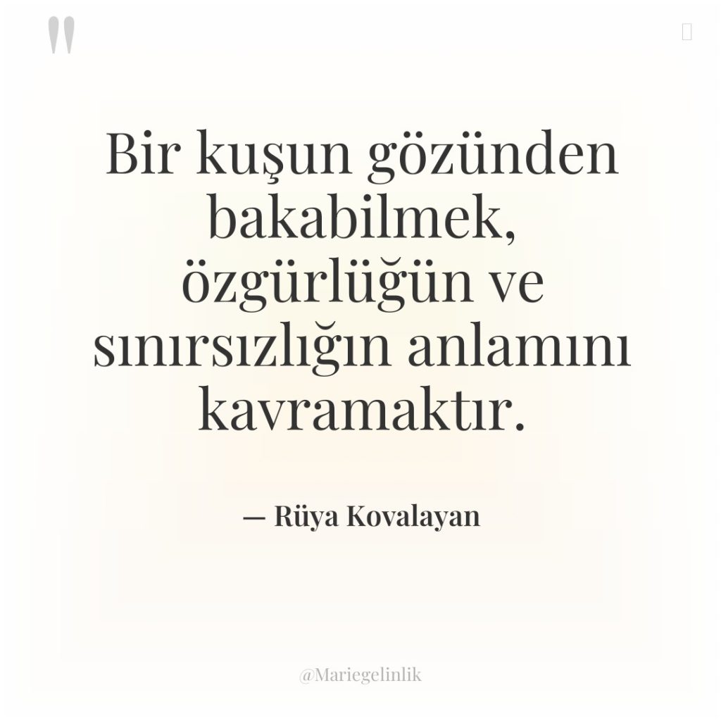 Bir kuşun gözünden bakabilmek, özgürlüğün ve sınırsızlığın anlamını kavramaktır.