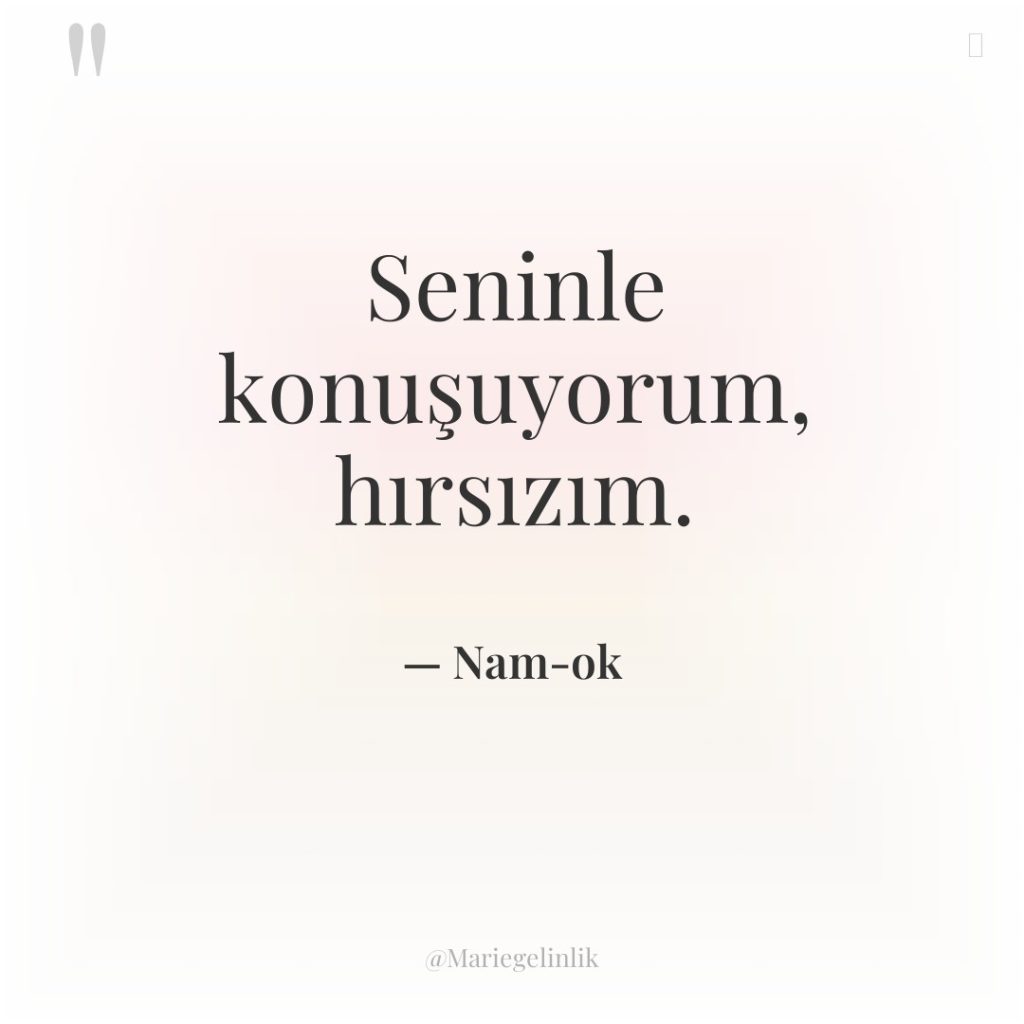 Seninle konuşuyorum, hırsızım.