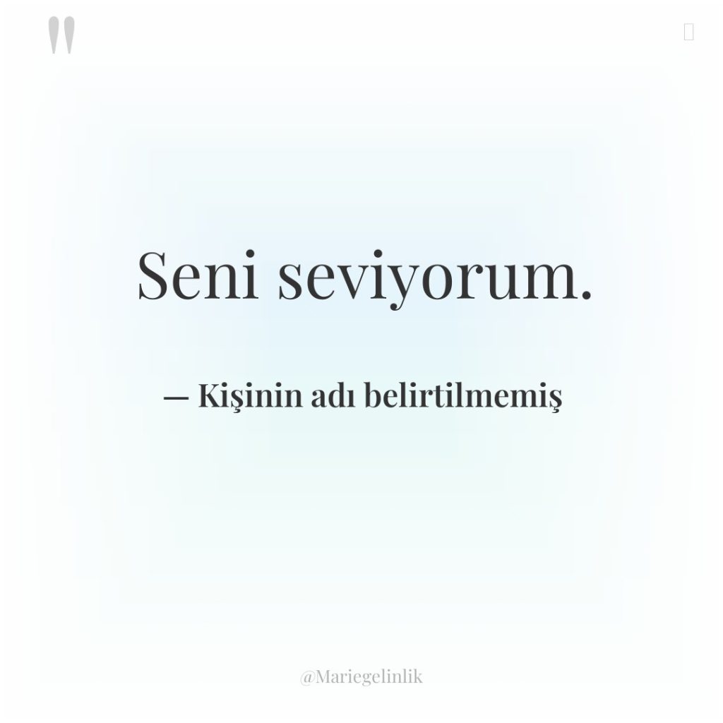 Seni seviyorum.