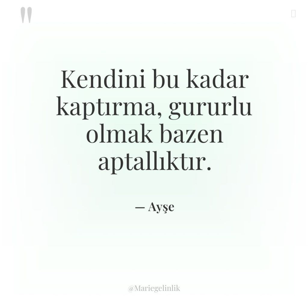 Kendini bu kadar kaptırma, gururlu olmak bazen aptallıktır.