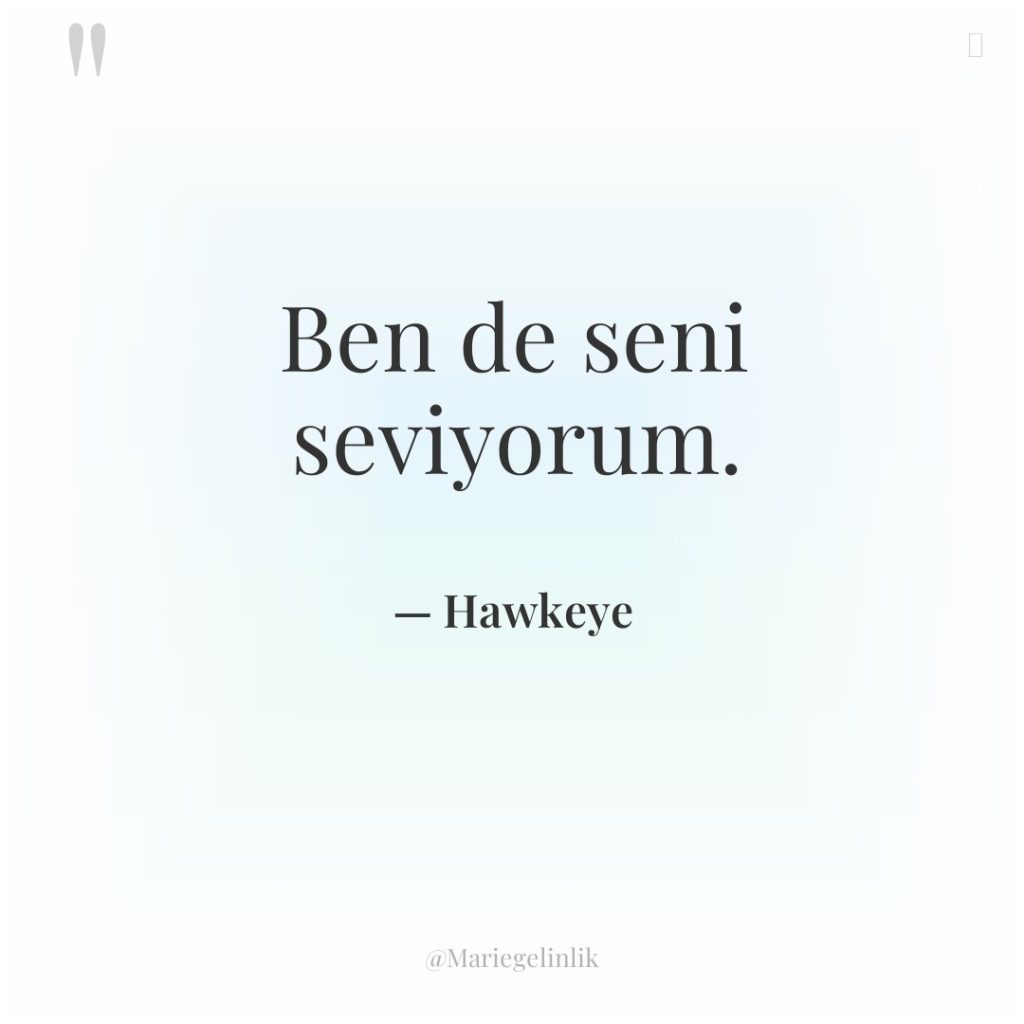 Ben de seni seviyorum.
