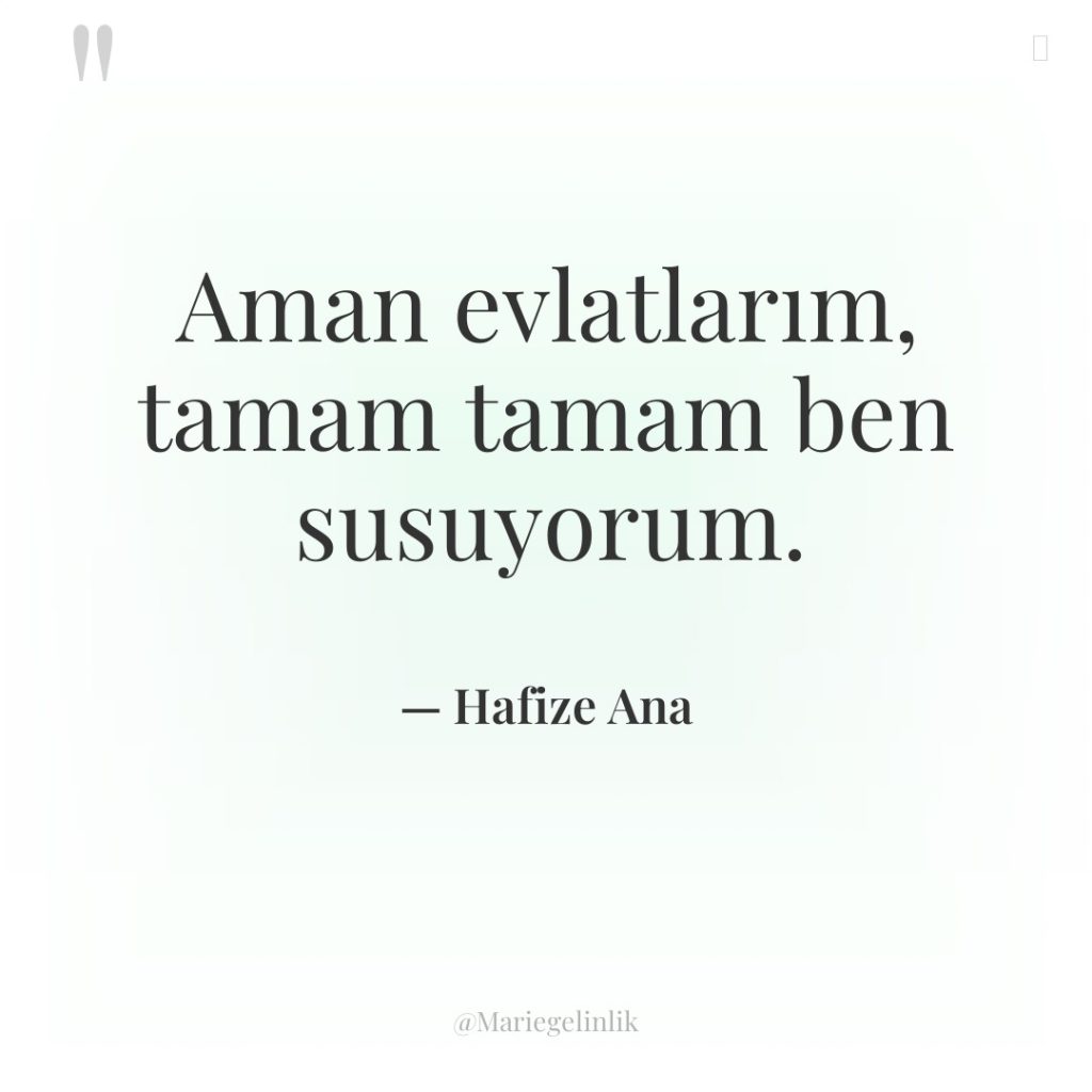 Aman evlatlarım, tamam tamam ben susuyorum.