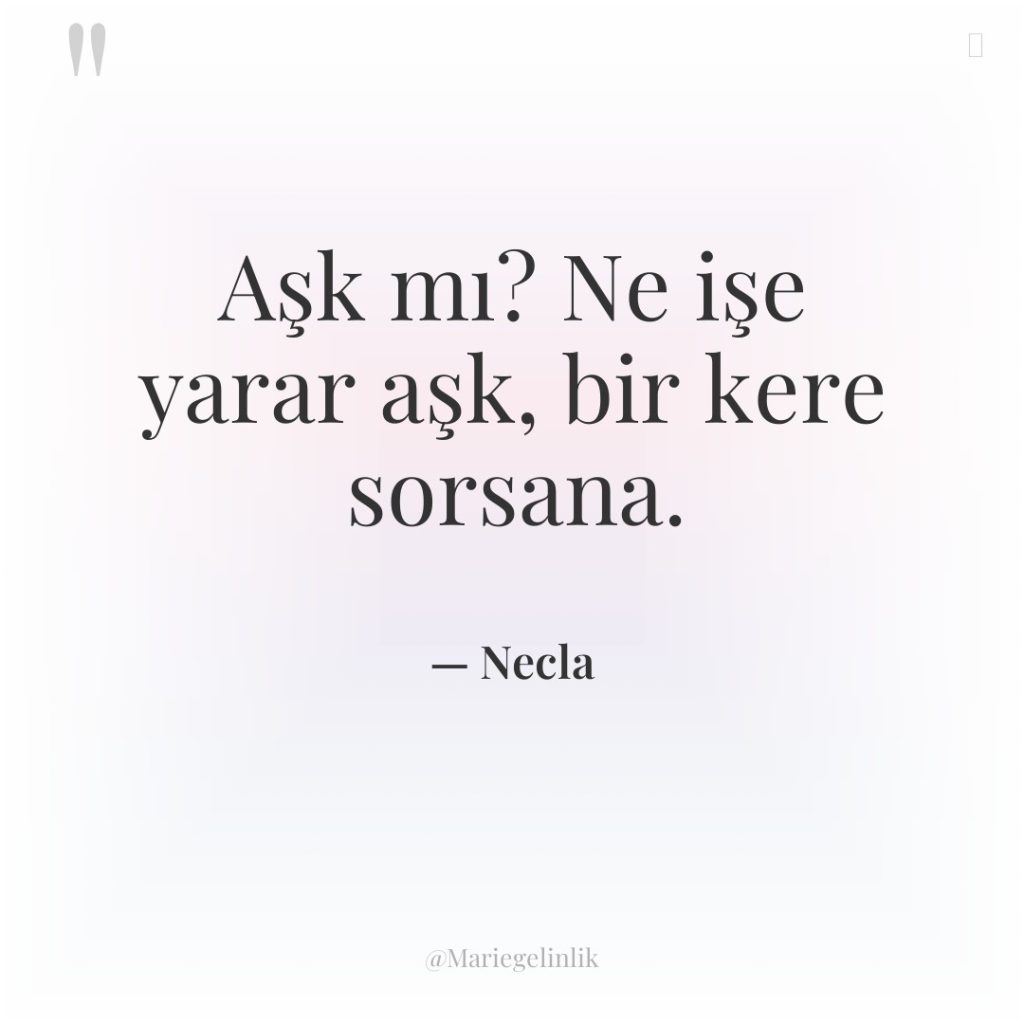 Aşk mı? Ne işe yarar aşk, bir kere sorsana.