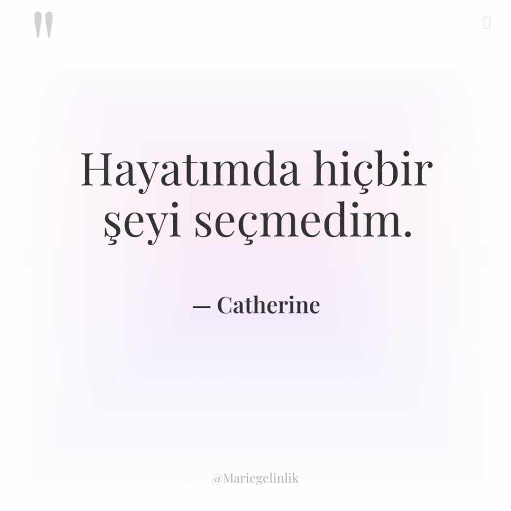 Hayatımda hiçbir şeyi seçmedim.