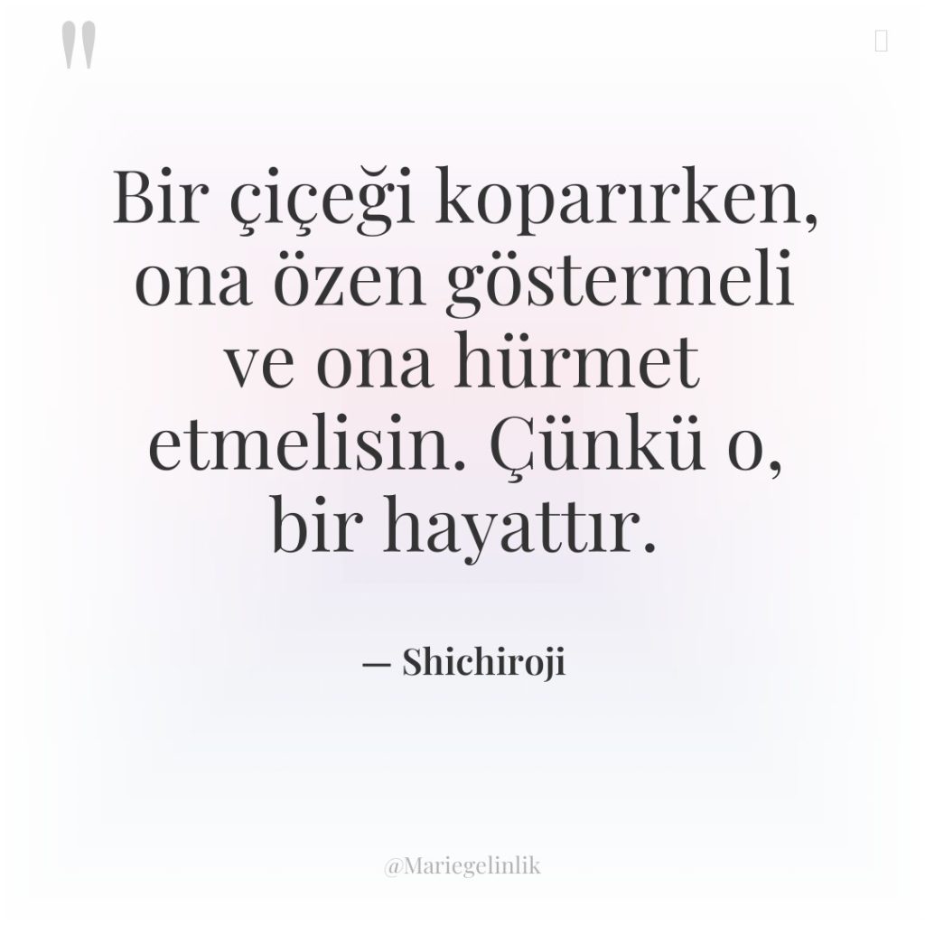 Bir çiçeği koparırken, ona özen göstermeli ve ona hürmet etmelisin….