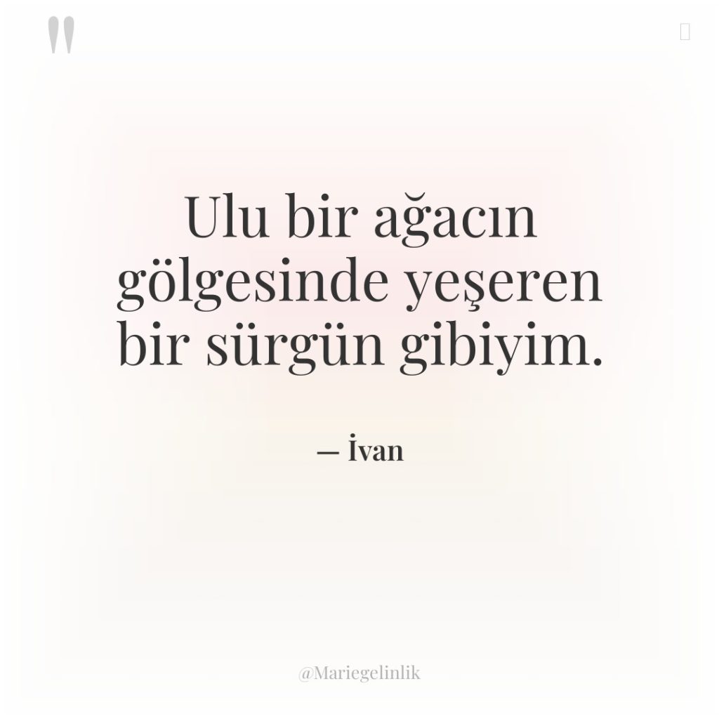 Ulu bir ağacın gölgesinde yeşeren bir sürgün gibiyim.