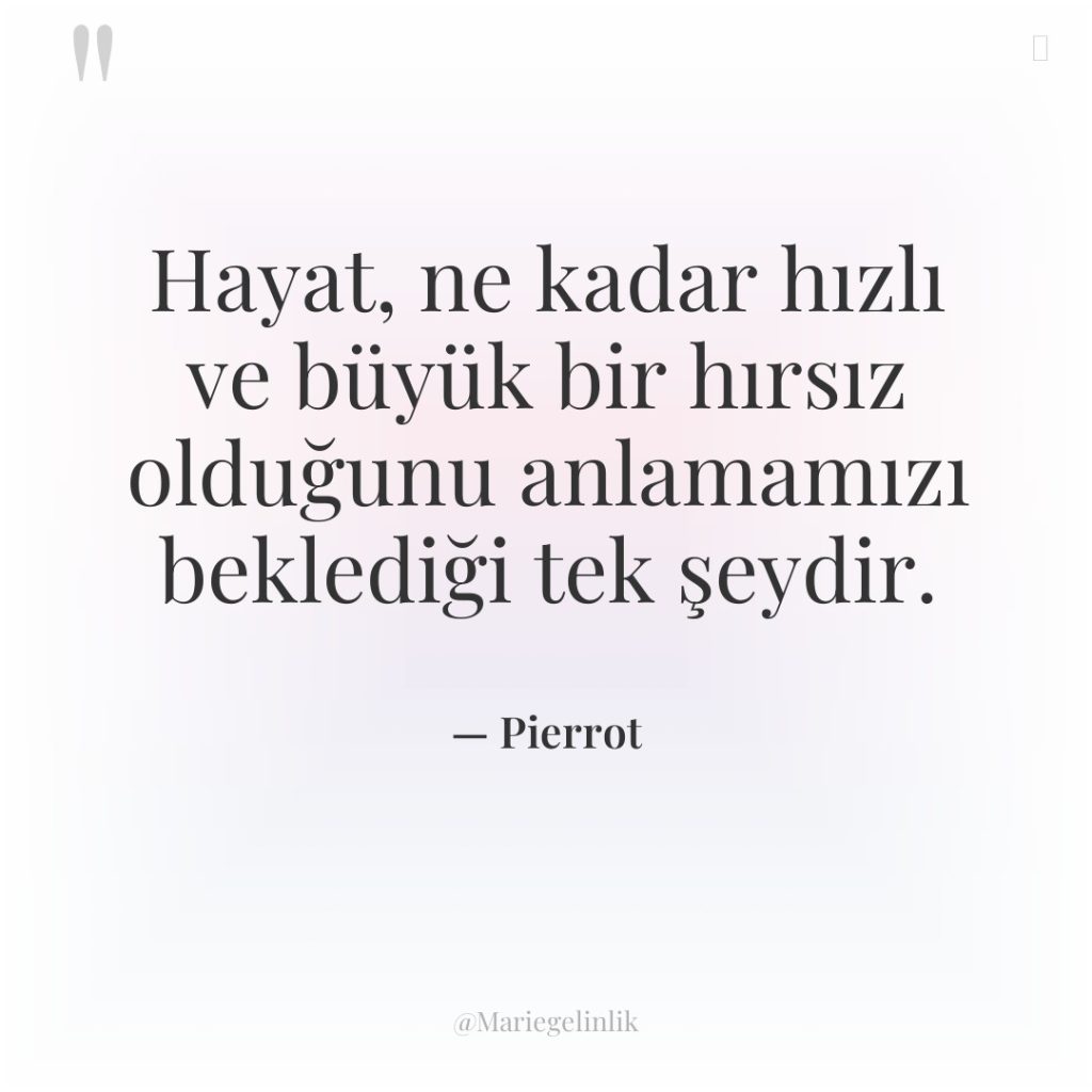 Hayat, ne kadar hızlı ve büyük bir hırsız olduğunu anlamamızı…