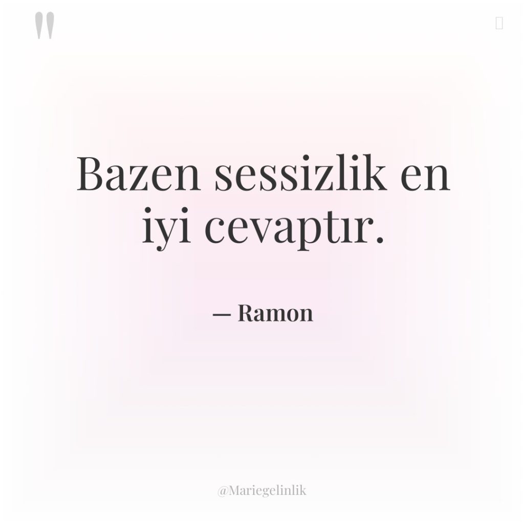 Bazen sessizlik en iyi cevaptır.