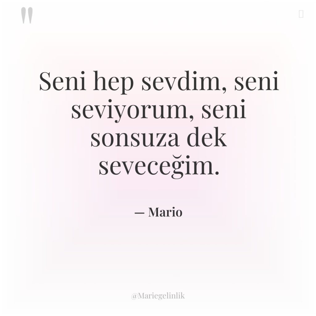 Seni hep sevdim, seni seviyorum, seni sonsuza dek seveceğim.