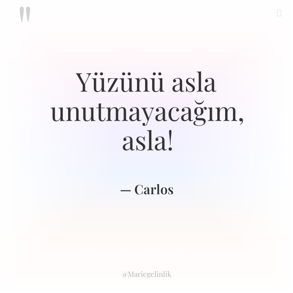 Yüzünü asla unutmayacağım, asla!