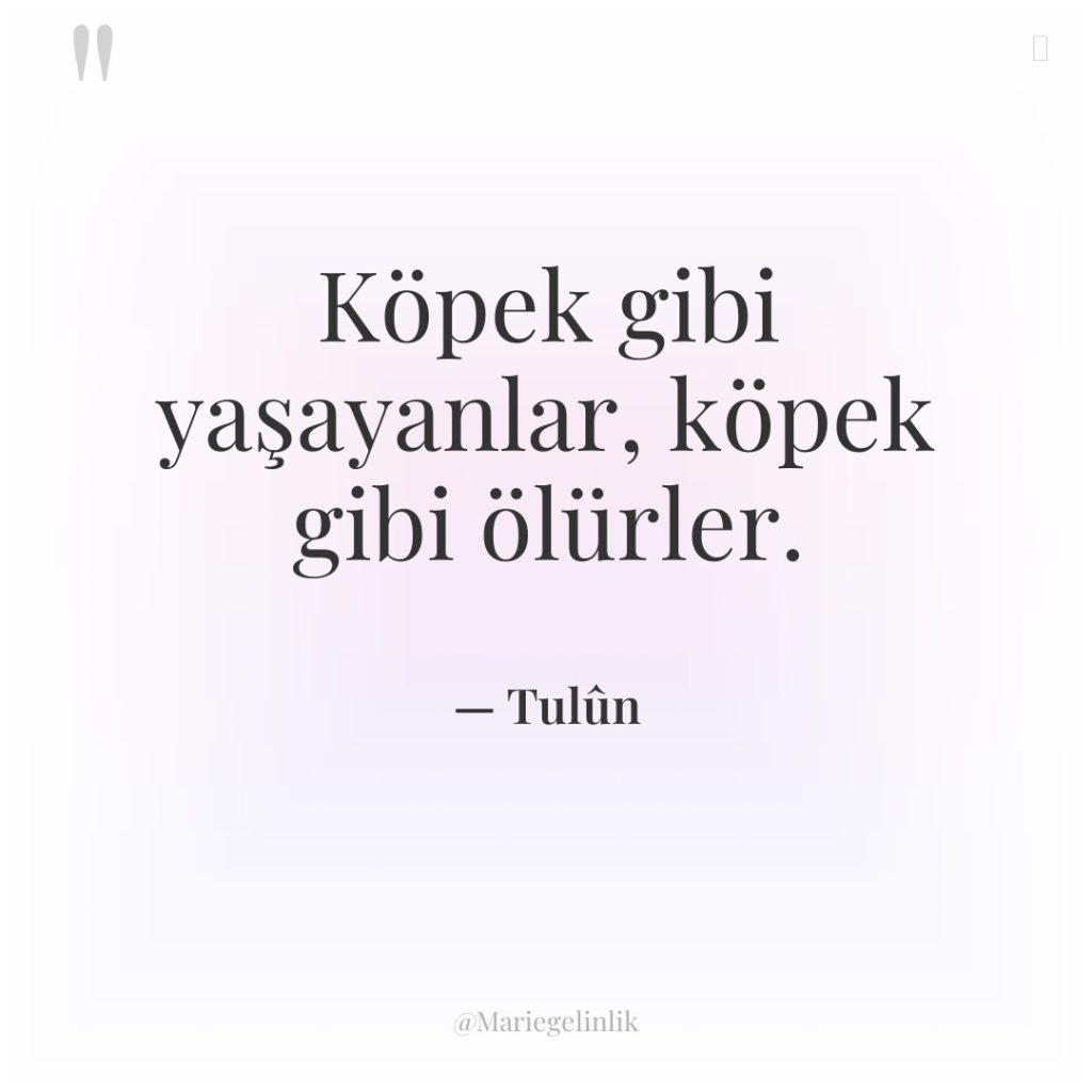 Köpek gibi yaşayanlar, köpek gibi ölürler.